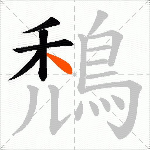 鵚