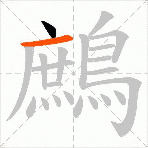 鷓