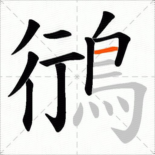 鴴