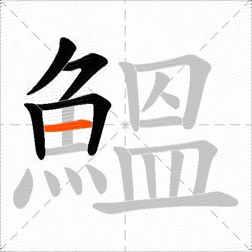 鰮