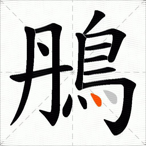 鴅
