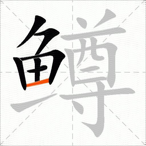 鳟