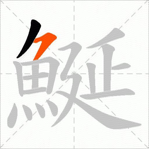 鯅