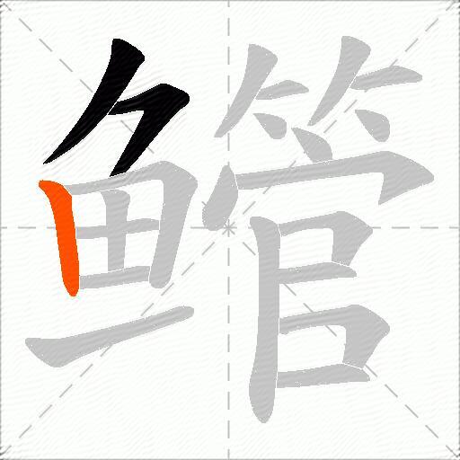 鳤