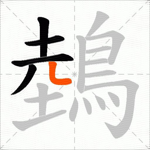 鵱
