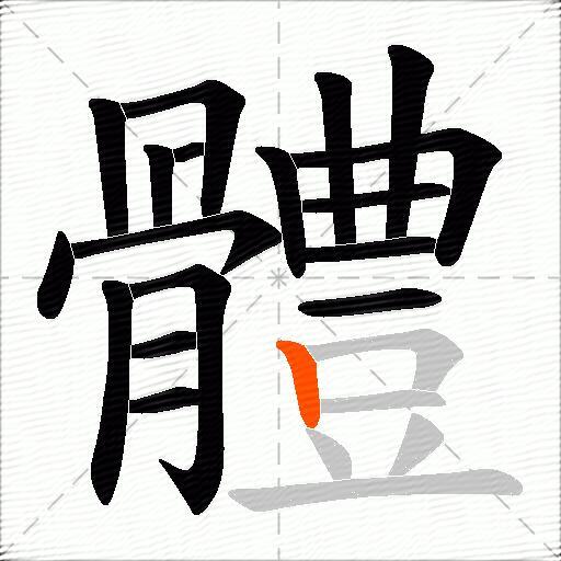 體