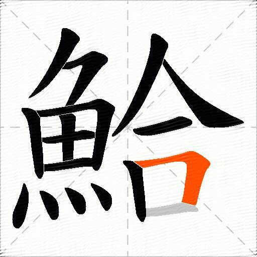 鮯