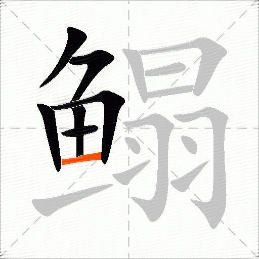 鳎