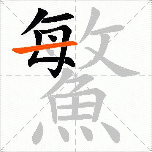 鰵