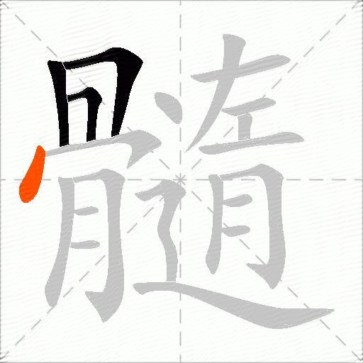 髓
