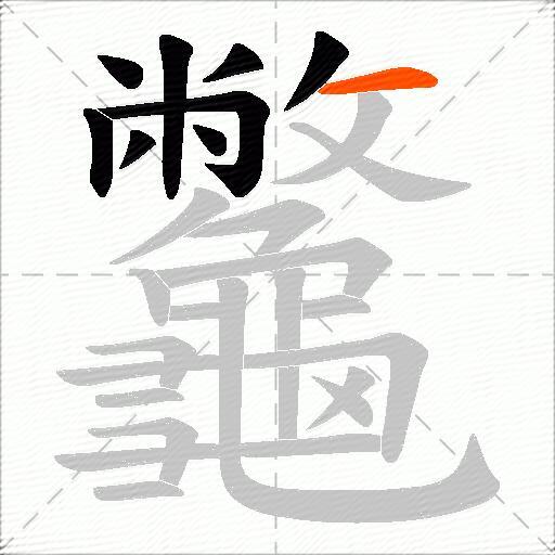 龞