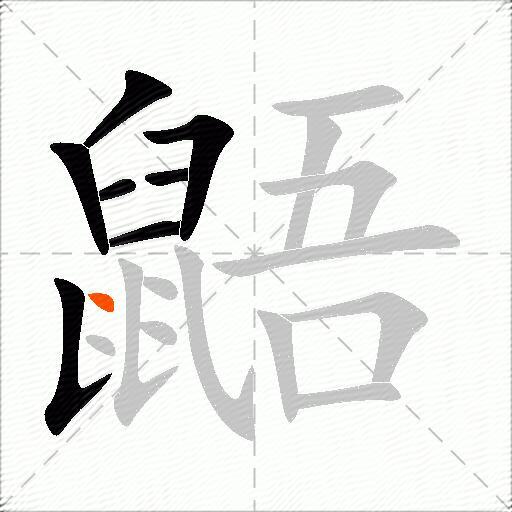 鼯