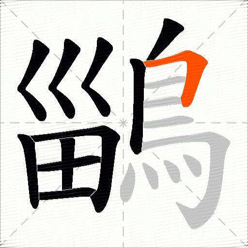 鶅
