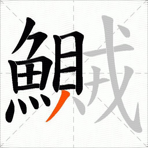 鱡