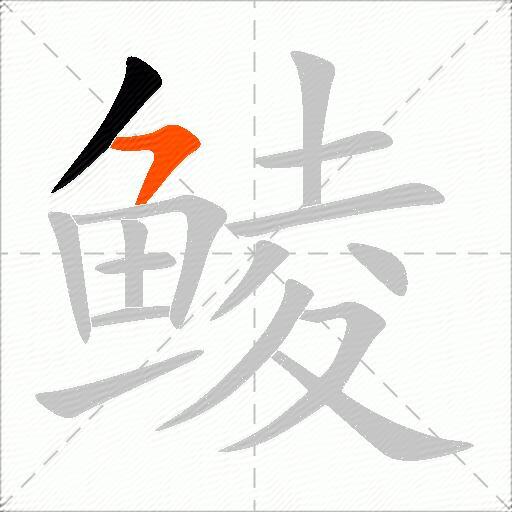 鲮