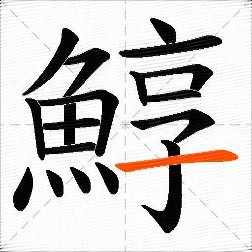 鯙