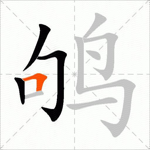 鸲