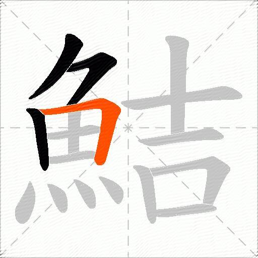 鮚