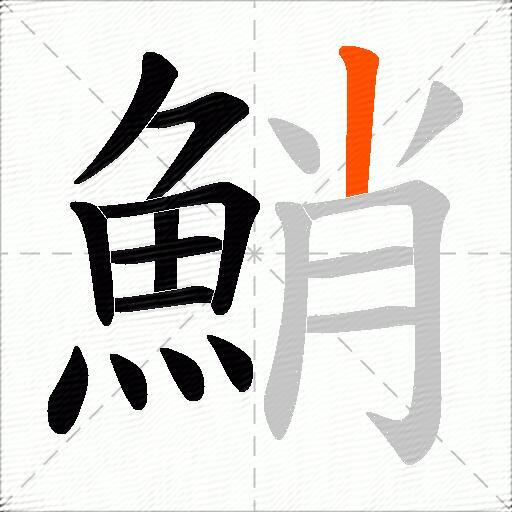 鮹