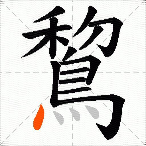 鵹