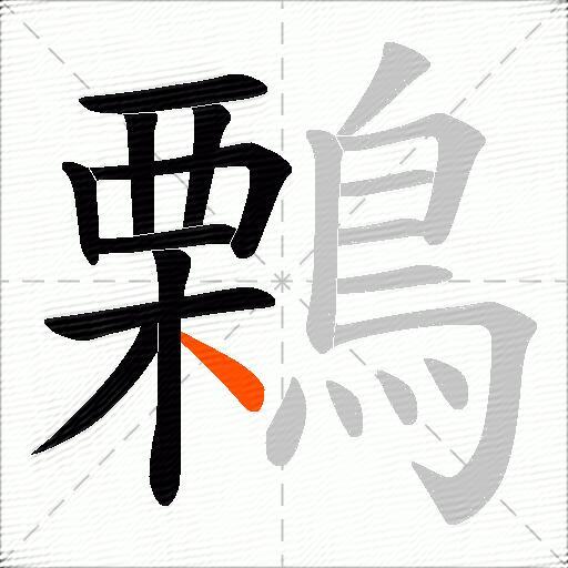 鷅