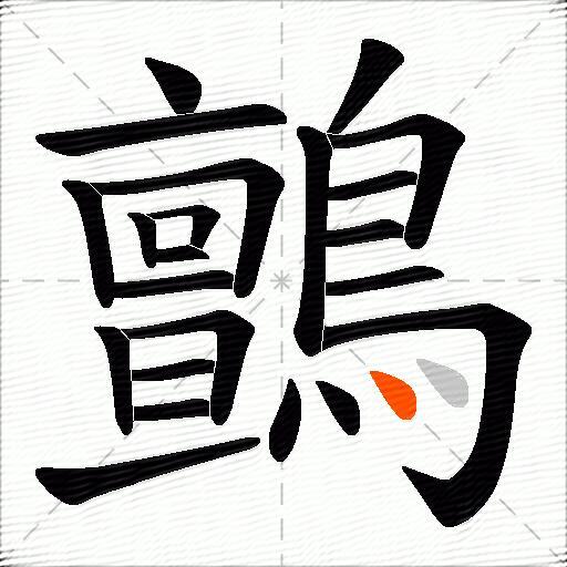 鸇