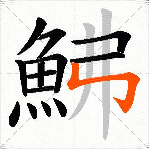 鮄