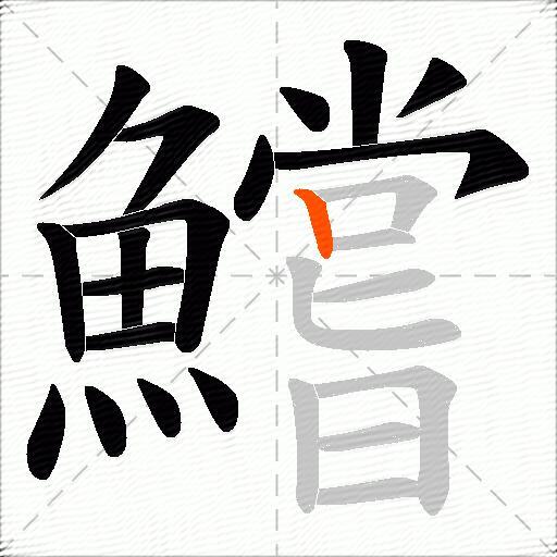 鱨