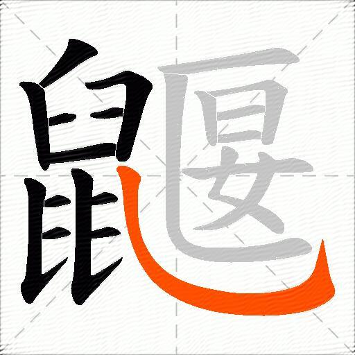 鼴