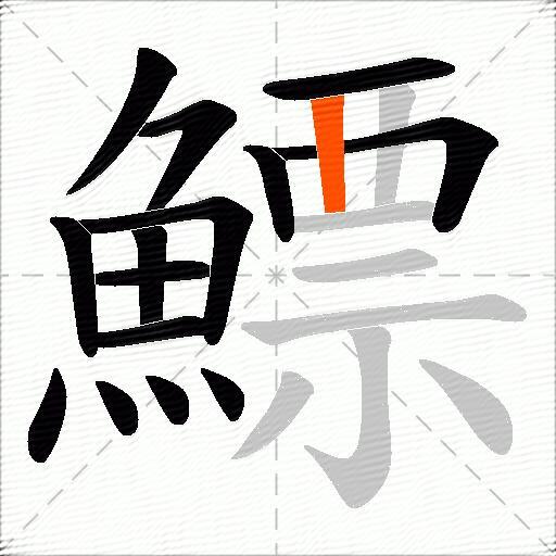 鰾