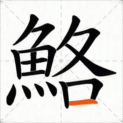 鮥