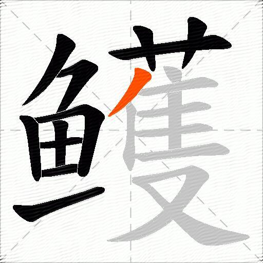 鳠