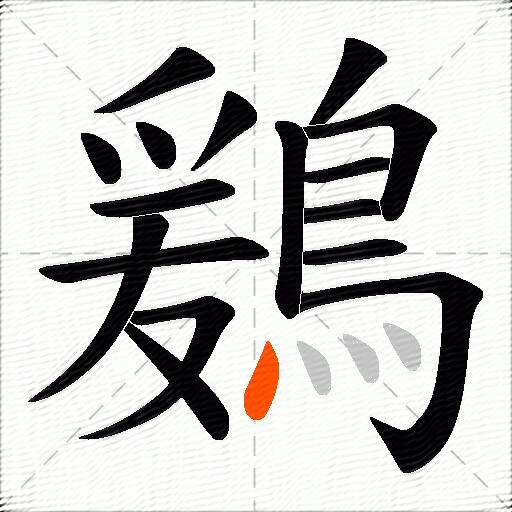鶢