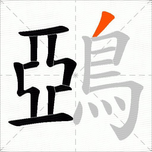 鵶
