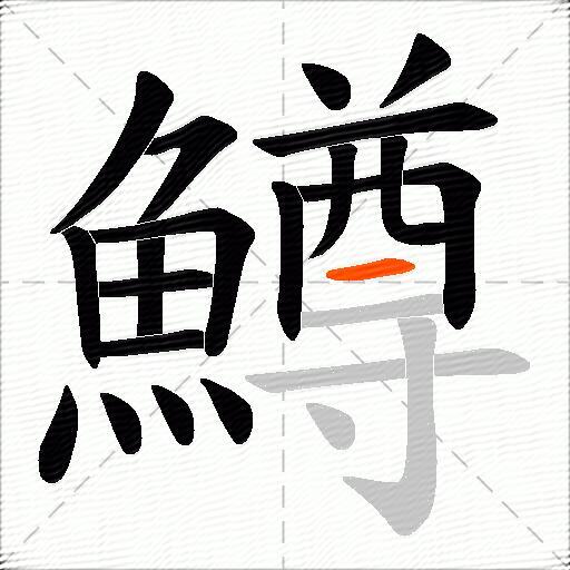 鱒