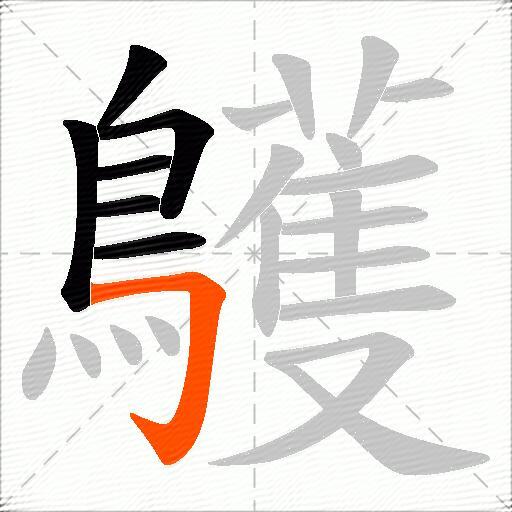 鸌