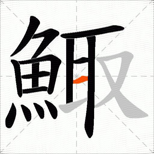 鯫