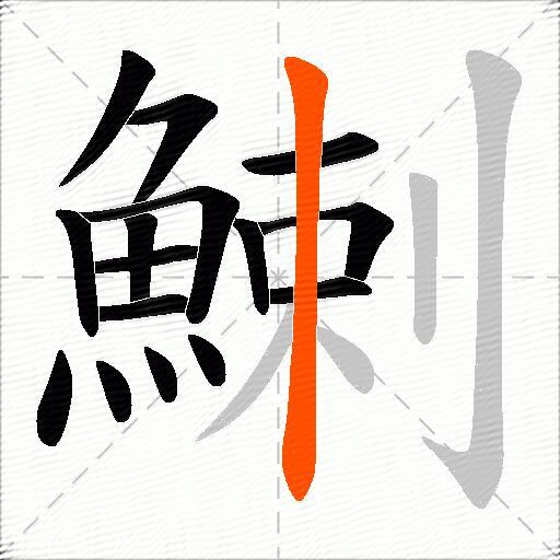 鯻