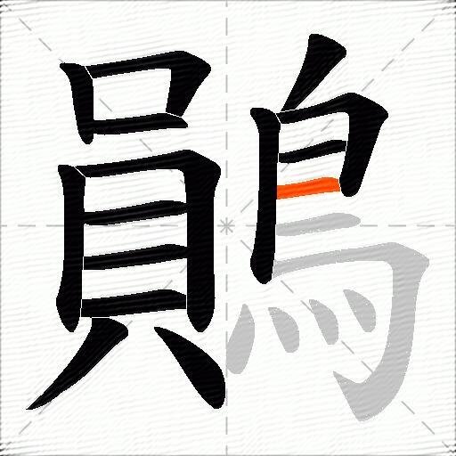 鶰