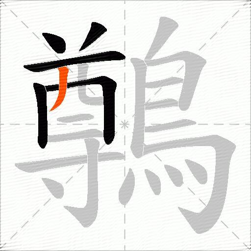 鷷