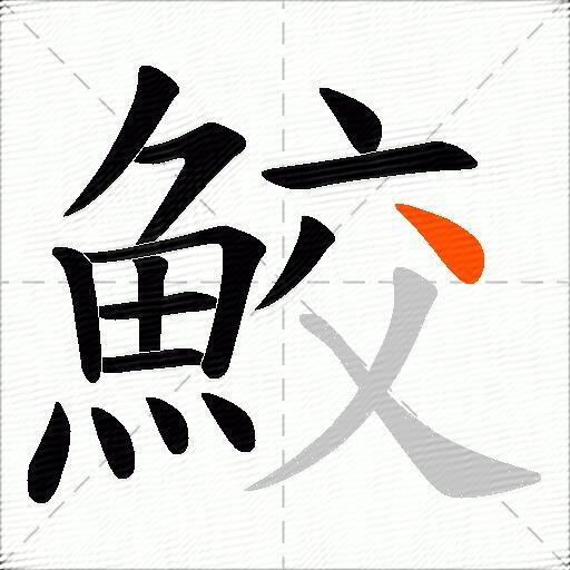 鮫