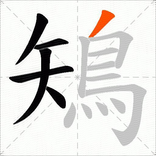 鴙