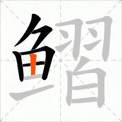 鳛