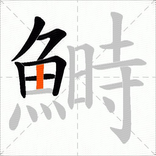 鰣