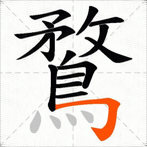 鶩