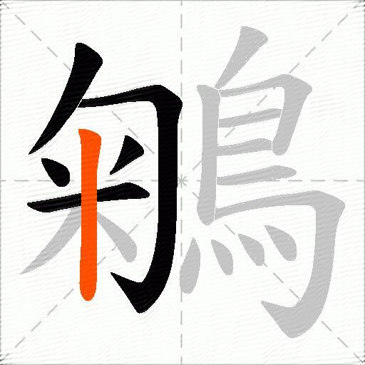 鵴