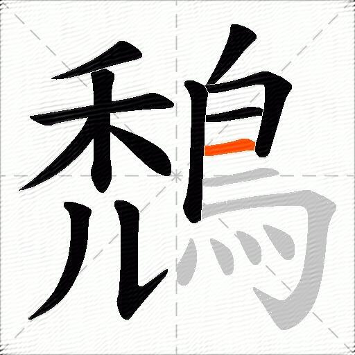 鵚