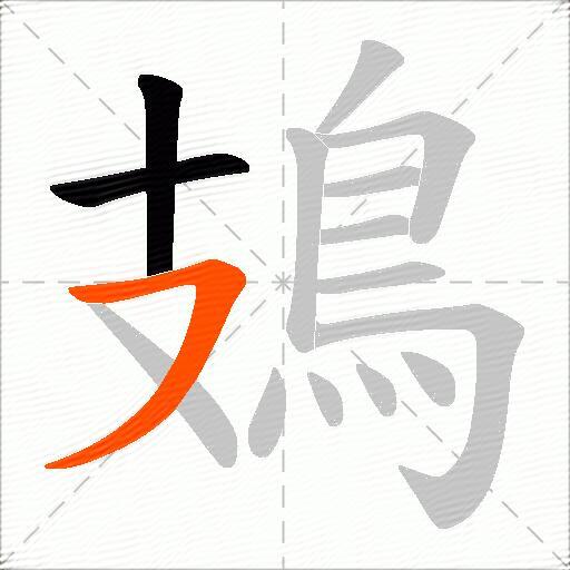 鳷