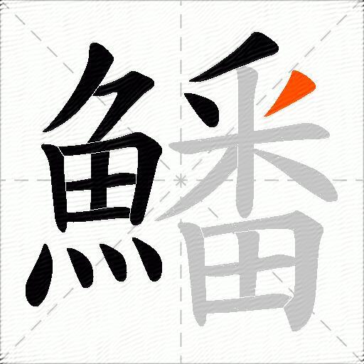 鱕