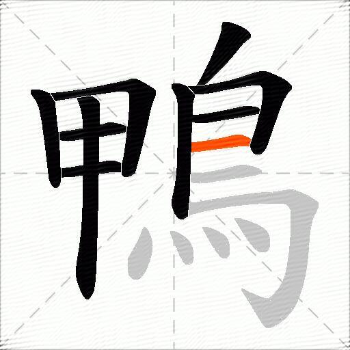 鴨